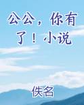 公公，你有了！小说