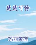 楚楚可怜小说推荐