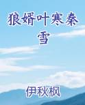 狼婿叶寒秦雪