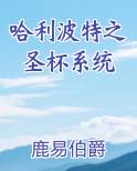 哈利波特之圣杯系统