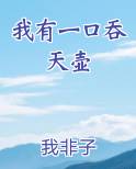 我有一口吞天壶